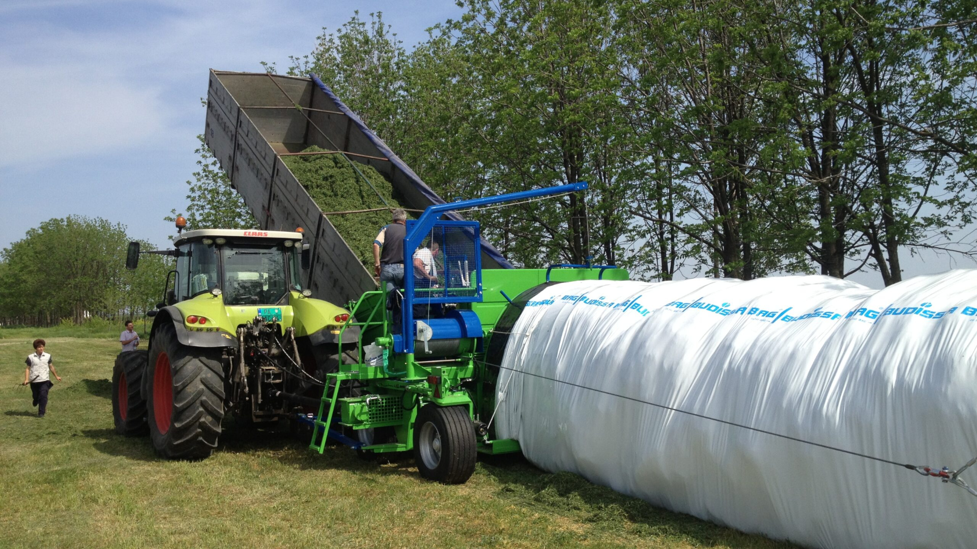 Закваски вносятся при загрузке траншеи из расчета 100-150 тысяч КОЕ на 1 г массы.