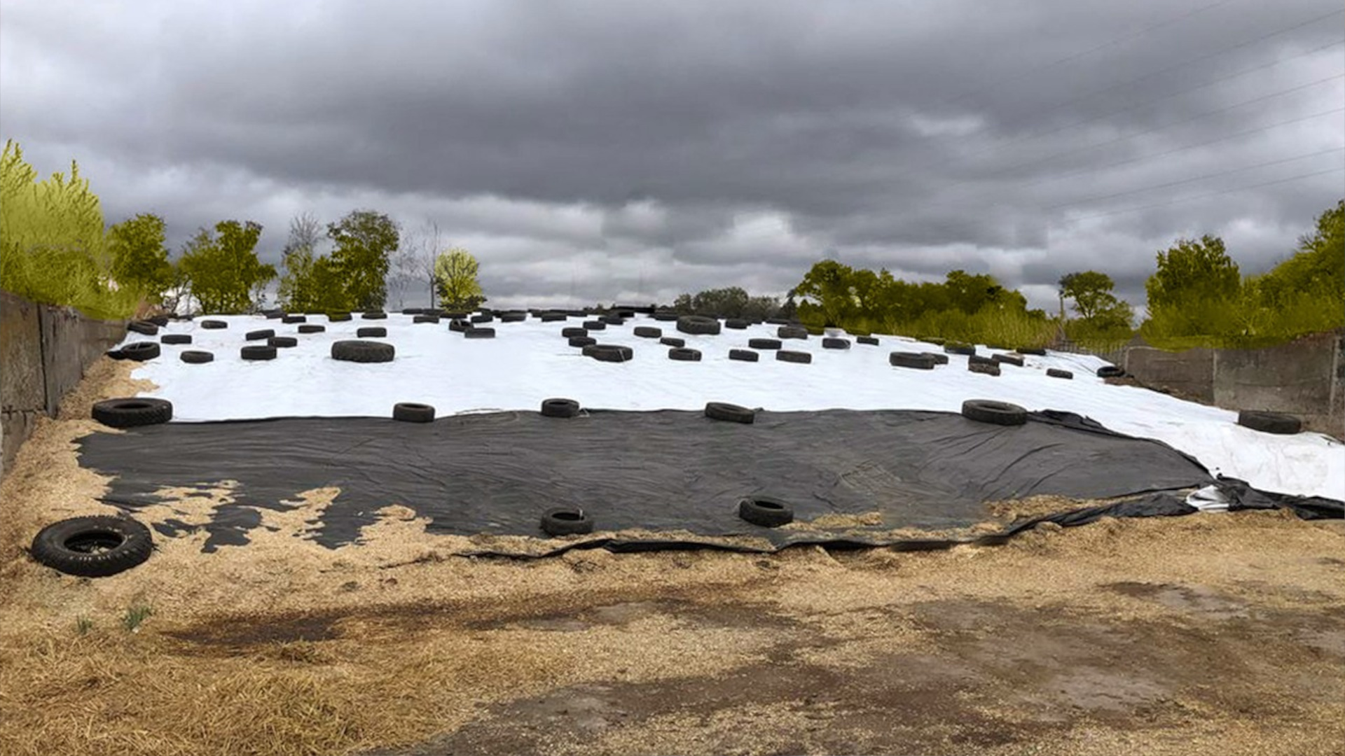 Белая пленка снижает нагрев поверхности на 25-30°C в жаркую погоду.